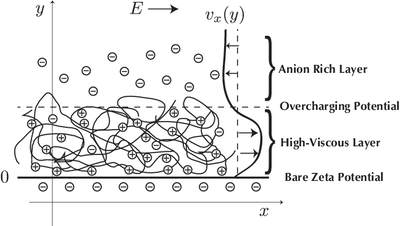 electrokinetics_fig3